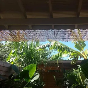 Appartement Le Tiki Cote Canne, Grand-Bourg (Marie Galante)